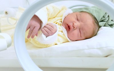 Maria Lúcia Padilha Hiromoto