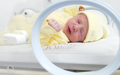 Ryan Araújo Custódio