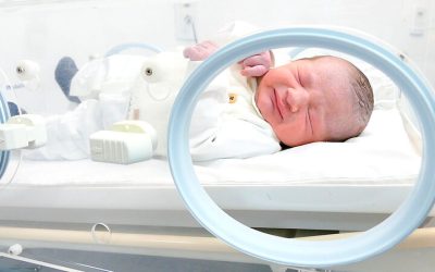 Miguel Henrique Santana