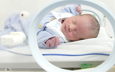 Antony Scavacini Machado