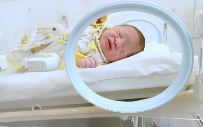 Agnes Sales Oliveira