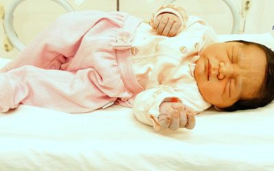 Helena Miret Gonçalves