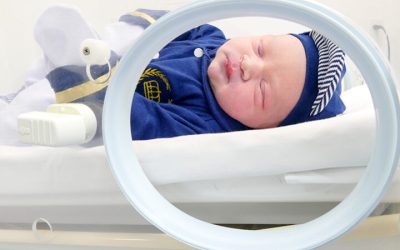 Bernardo de Melo Faria