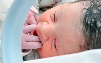 Maria Fernanda Bergamo Alves