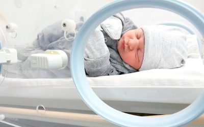 Davi Martins do Nascimento