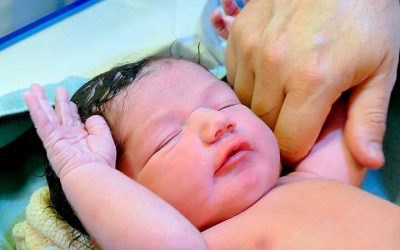 Bernardo de Avila R. Pacheco